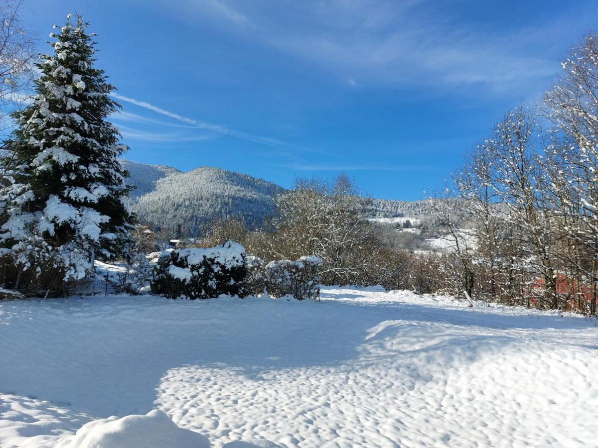 Bed and Breakfast Au Bonheur Fait Maison Saint-Maurice-sur-Moselle Zewnętrze zdjęcie